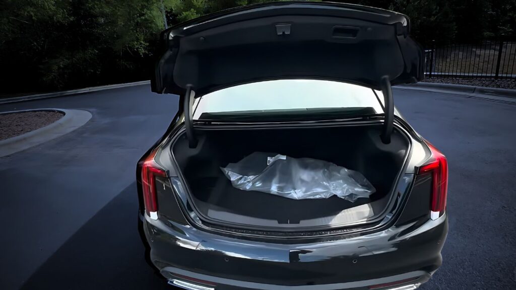 Spacious and Accessible Trunk